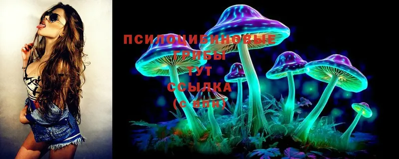 Псилоцибиновые грибы Cubensis  Белый 